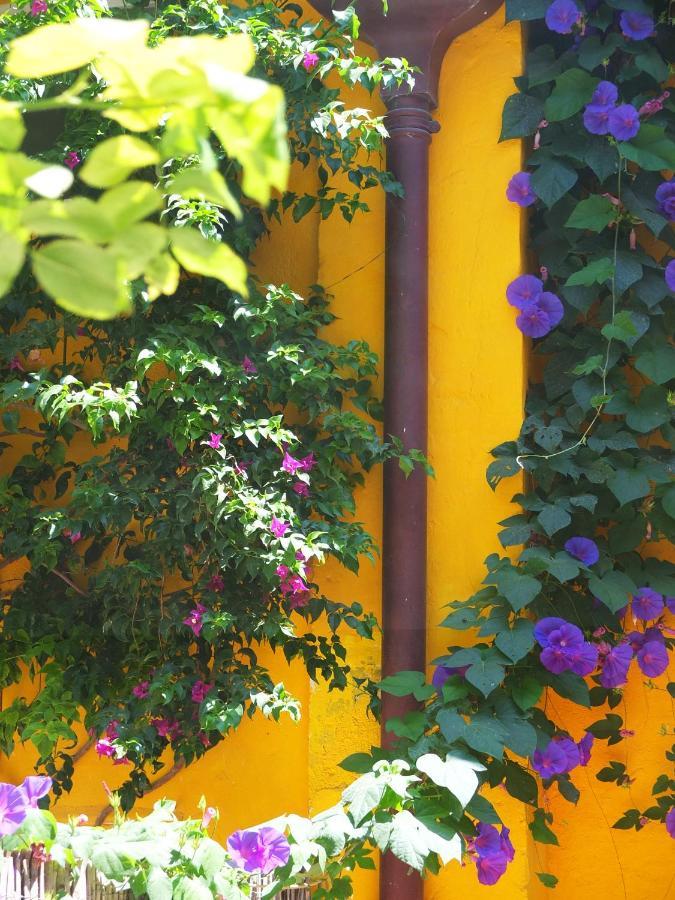La Maison Jaune Sète Eksteriør billede